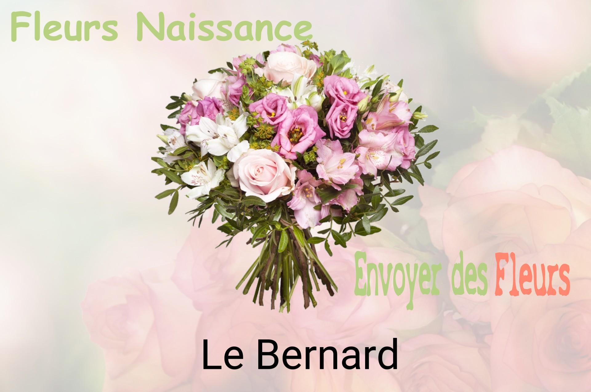Bouquet de fleurs de naissance livré à Le Bernard